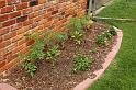 garden02